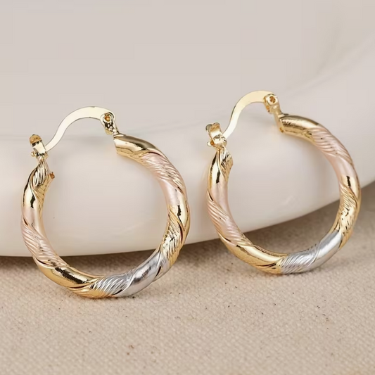 Twisted Hoop Earrings