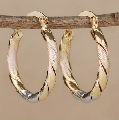Twisted Hoop Earrings
