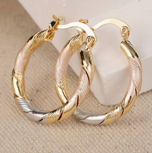 Twisted Hoop Earrings